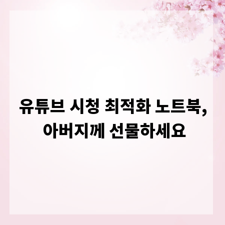 유튜브 시청 최적화 노트북, 아버지께 선물하세요