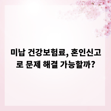 미납 건강보험료, 혼인신고로 문제 해결 가능할까?