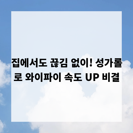 집에서도 끊김 없이! 성가롤로 와이파이 속도 UP 비결
