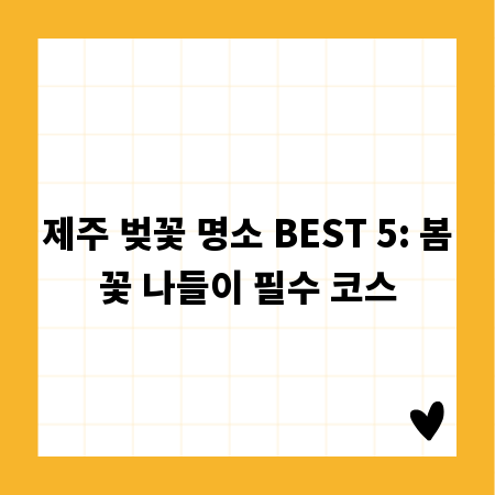 제주 벚꽃 명소 BEST 5: 봄꽃 나들이 필수 코스