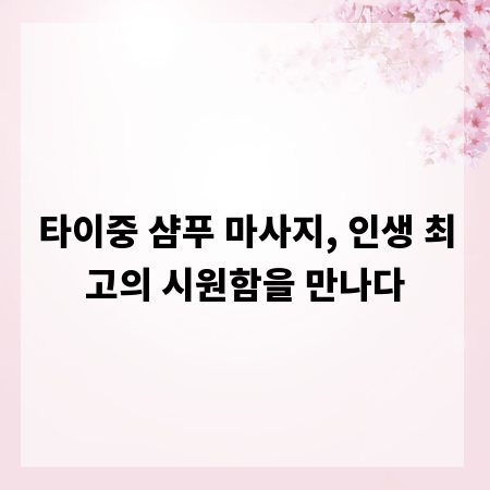 타이중 샴푸 마사지, 인생 최고의 시원함을 만나다