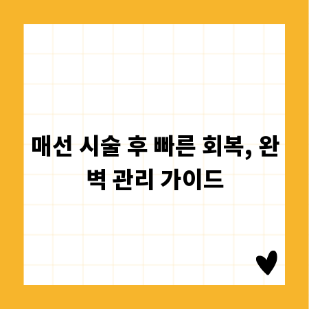 매선 시술 후 빠른 회복, 완벽 관리 가이드