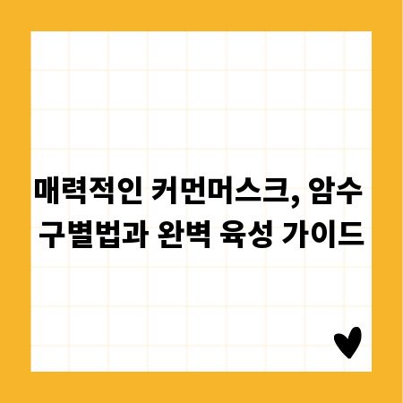 매력적인 커먼머스크, 암수 구별법과 완벽 육성 가이드