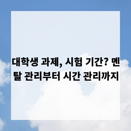 대학생 과제, 시험 기간? 멘탈 관리부터 시간 관리까지