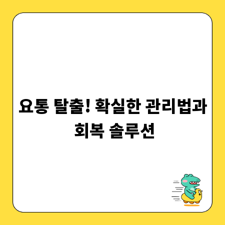 요통 탈출! 확실한 관리법과 회복 솔루션