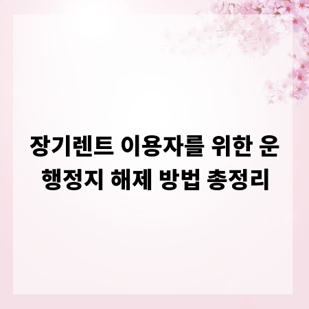장기렌트 이용자를 위한 운행정지 해제 방법 총정리