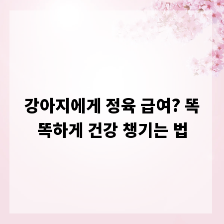 강아지에게 정육 급여? 똑똑하게 건강 챙기는 법