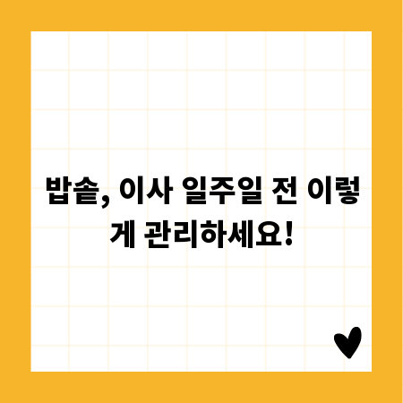 밥솥, 이사 일주일 전 이렇게 관리하세요!