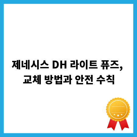 제네시스 DH 라이트 퓨즈, 교체 방법과 안전 수칙
